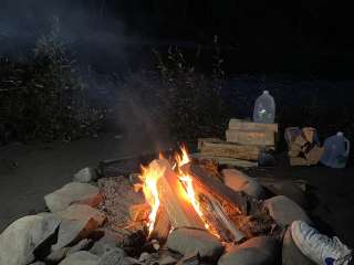 Hoh River Dispersed Camping