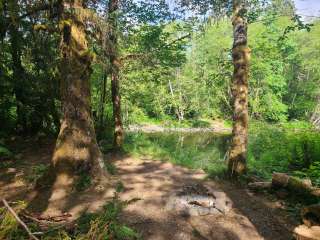 South Fork Calawah River