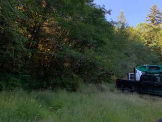 Forest Service Road 29 Dispersed Camping Loop