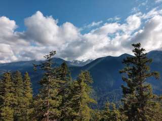 Sourdough — Olympic National Park