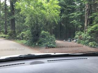 Rhododendron Campground