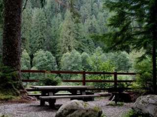 Mineral Park Campground