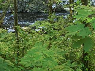 Panther Camp — Ross Lake National Recreation Area