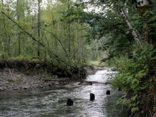 Boardman Creek Group Campground