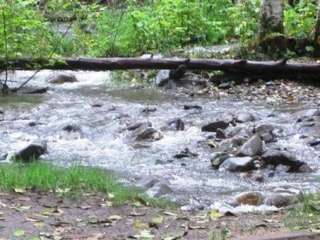 Coal Creek Group Camp