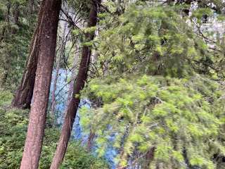 Okanogan National Forest Ballard Campground