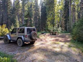 Phelps Creek Campground