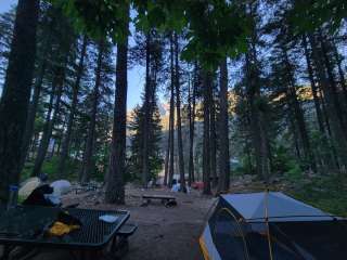 Lakeview Campground — Lake Chelan National Recreation Area