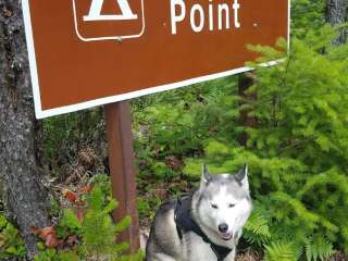 Dolly Varden Campgound — North Cascades National Park