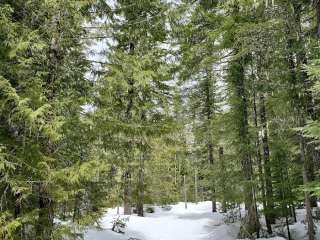 Peacock Meadows Sno-Park