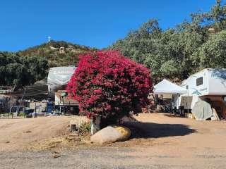 Jack's RV Park and Motel