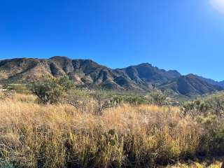 Proctor Rd. Dispersed by Madera Canyon