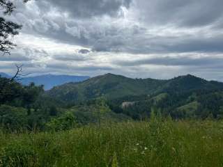 Okanogan-Wenatchee National Forest Dispersed Camping on Derby Rd NF7400