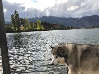 Wapato Lake Campground