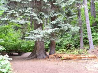 Finner Creek Campground