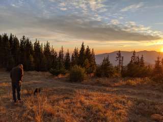 Baldy Mountain Dispersed Camping