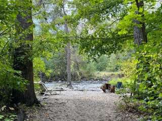 Swiftwater Farm