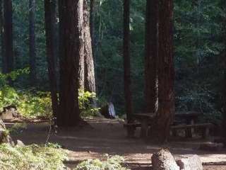 Kachess Campground