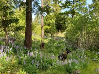 L.T. Murray Wildlife Area