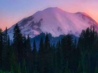 Cougar Rock Campground — Mount Rainier National Park