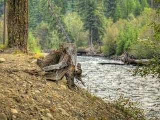 Cedar Springs Campground (WA)