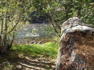 Cottonwood Campground (WA)