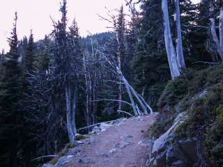 Sunrise Camp Primitive — Mount Rainier National Park