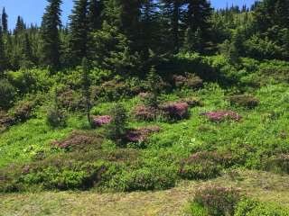 Granite Creek Camp — Mount Rainier National Park