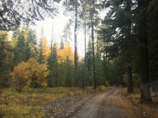 Ahtanum Meadows Campground