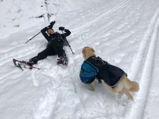 Yurt Snowshoe