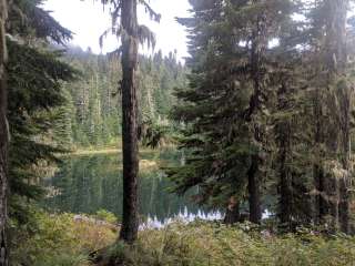 Golden Lakes Backcountry Campsites — Mount Rainier National Park