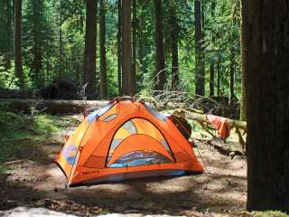 Ipsut Creek Camp — Mount Rainier National Park