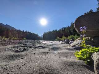 Carbon River