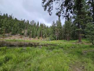 Milk Pond Campsites