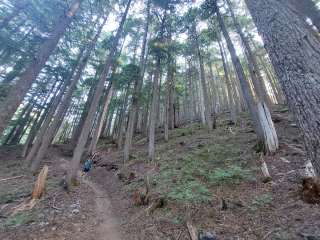 Devils Dream Backcountry Campsites — Mount Rainier National Park