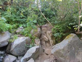 Dick Creek Camp — Mount Rainier National Park