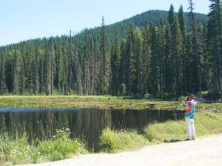 Trout Creek