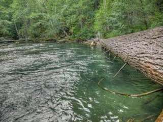 Adams Fork Campground