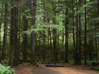 North Fork Elk Group Camp