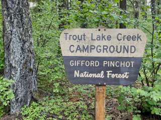 Gifford Pinchot National Forest Trout Lake Creek Campground