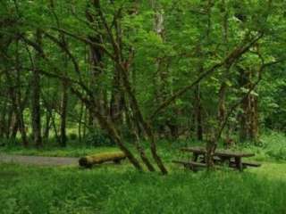 Blue Lake Creek Campground - Gifford Pinchot Nf (WA)