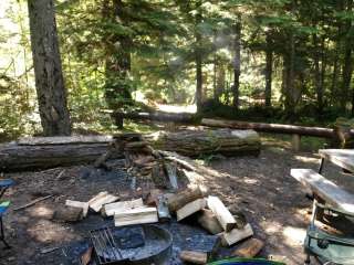 Gifford Pinchot National Forest Cat Creek Campground