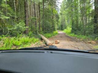 Gifford Pinchot National Forest Saddle Campground