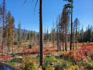 Meadow Creek Indian Campground