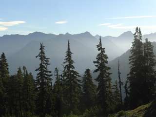 Three Prune — Olympic National Park