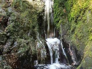 Trapper — Olympic National Park