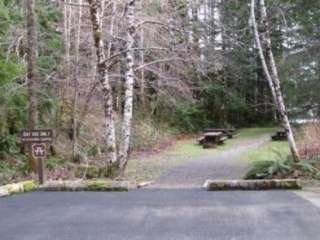 Coho Campground