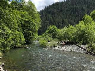 Wolf Bar — Olympic National Park