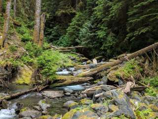 Pyrites Creek — Olympic National Park