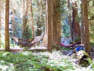 Camp Pleasant — Olympic National Park